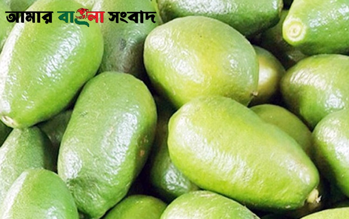 amar bangla songbad