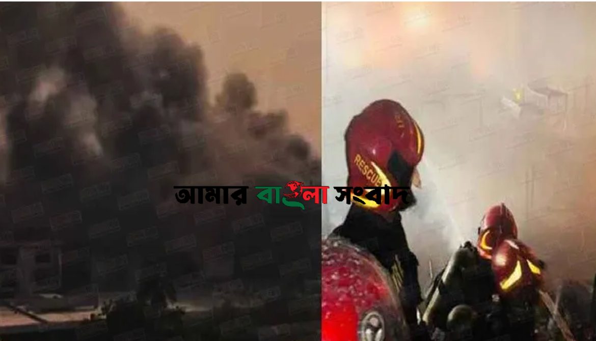 আমার বাংলা সংবাদ
