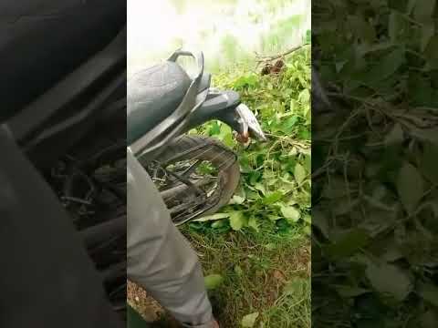 মাতারকাপন, শমশেরনগর রোড, সুহেল বেগ ফিলিং স্টেশনের সামনে সড়ক দুর্ঘটনায় একজন মোটরসাইকেল যাত্রী নিহত।