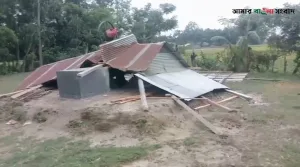 ঘরের চাল উড়ে গেছে, বাকি আছে শুধু দীর্ঘশ্বাস শেরপুরের ক্ষতিগ্রস্ত মানুষের আর্তনাদ।